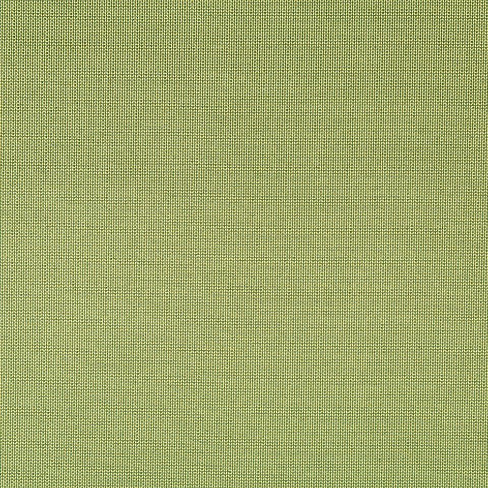 FINE TEXTURE | LIME
