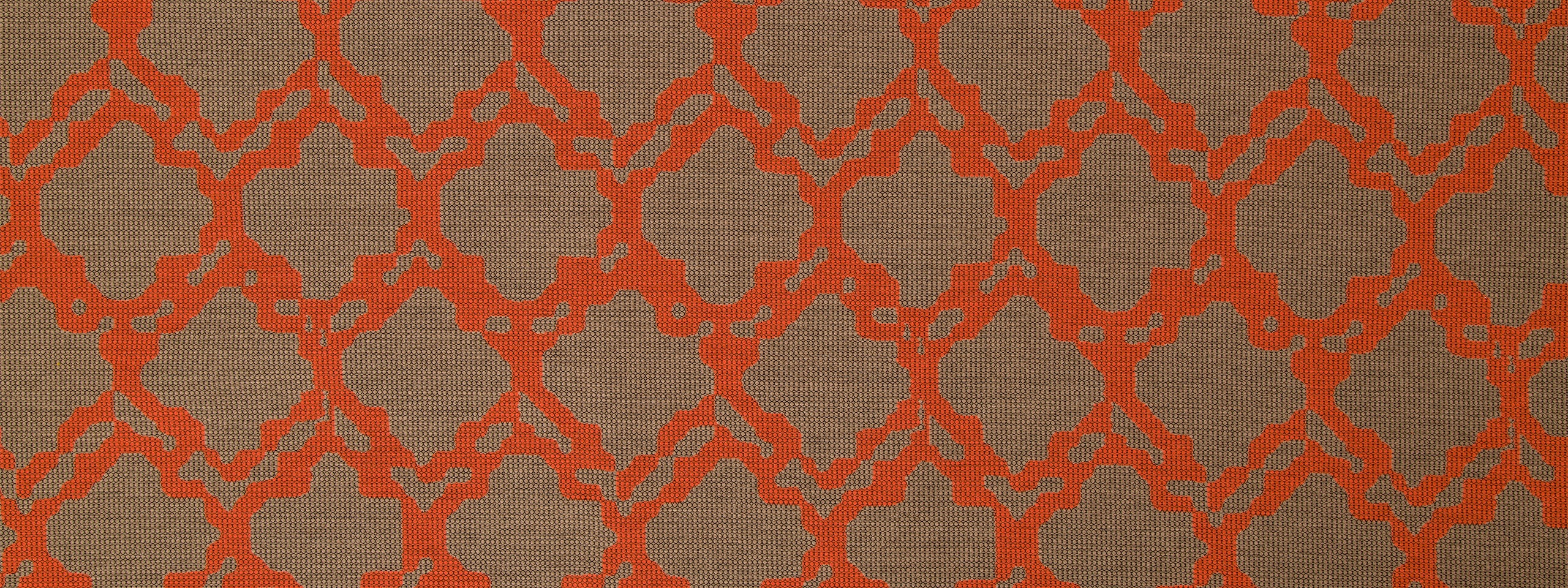 GRAPHIC NATURE | CORAL