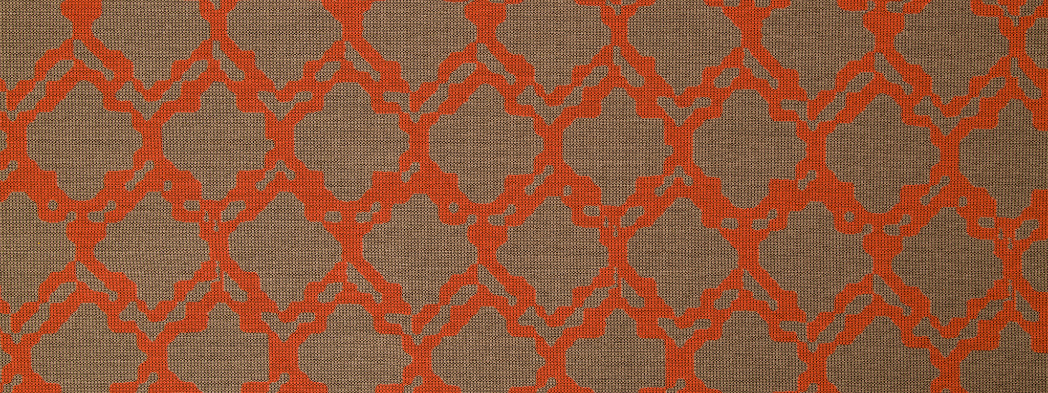 GRAPHIC NATURE | CORAL