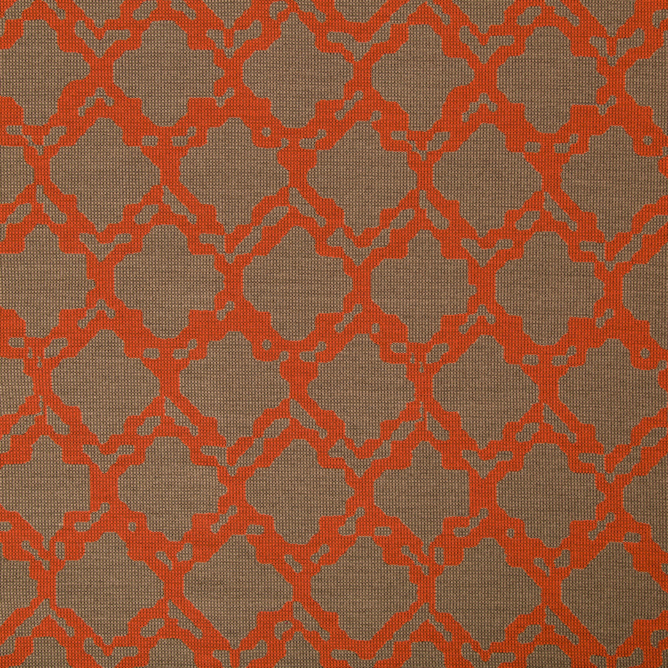 GRAPHIC NATURE | CORAL