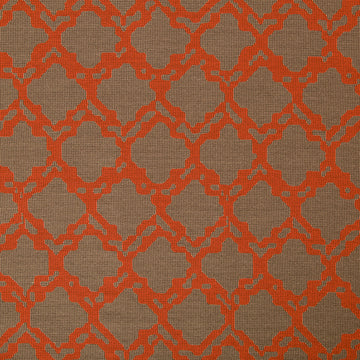 GRAPHIC NATURE | CORAL