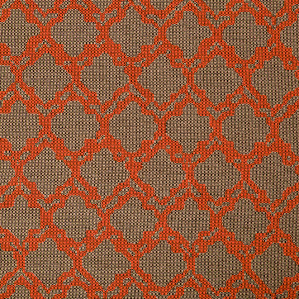 GRAPHIC NATURE | CORAL