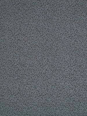 MILLER WEAVE | COAL
