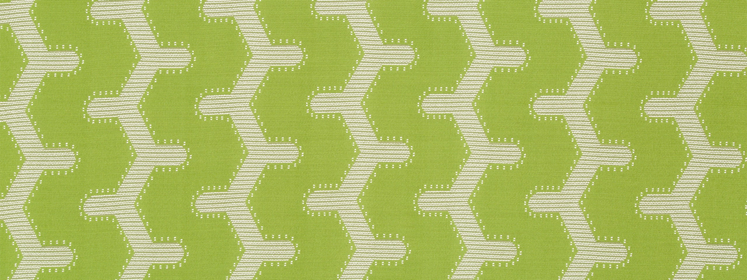 TEXTURE PATH | LIME