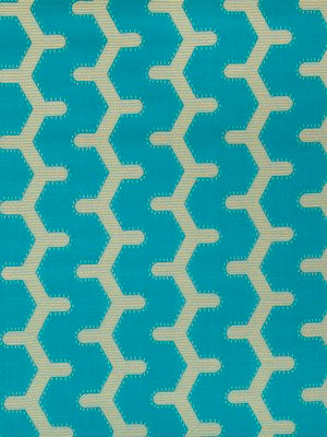 TEXTURE PATH | CAPRI