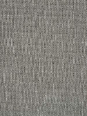 CANVAS TEXTURE | GRAPHITE