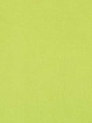 CANVAS TEXTURE | LIME