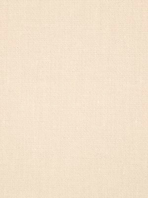 CANVAS TEXTURE | RAFFIA