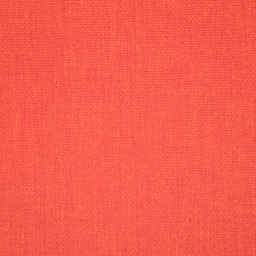 CANVAS TEXTURE | SIENNA