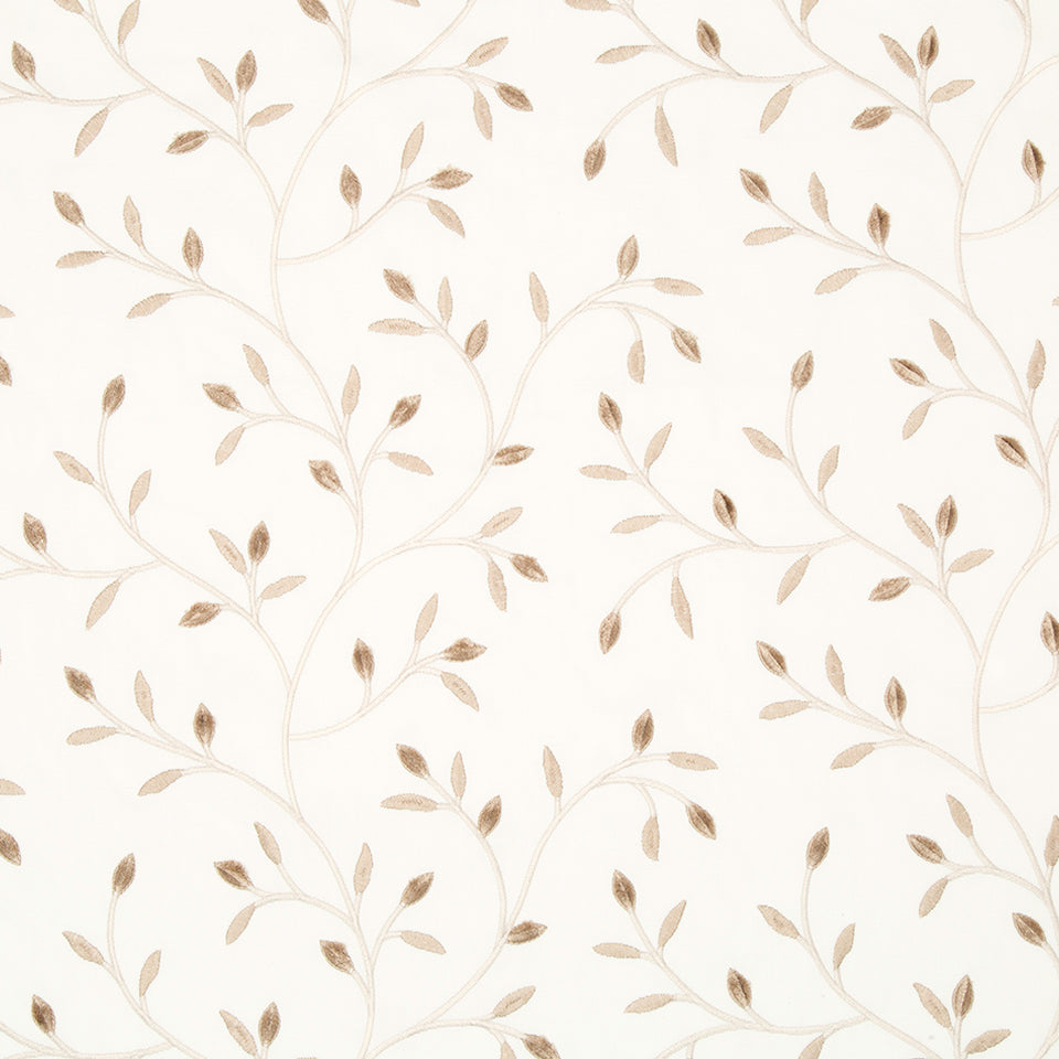 BASIC SPRING | DRIFTWOOD