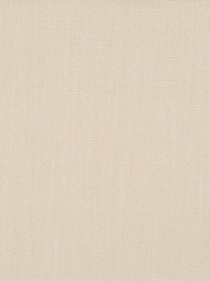 SWEET SOLID | CASHEW - Multi-purpose