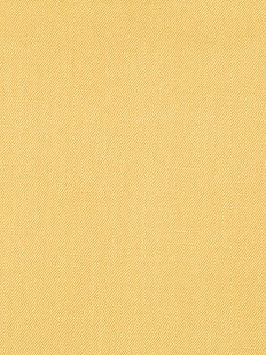 SWEET SOLID | HONEYSUCKLE - Multi-purpose