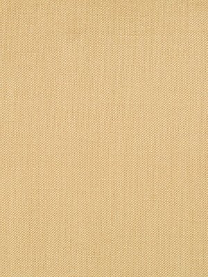 SWEET SOLID | AMBER - Multi-purpose