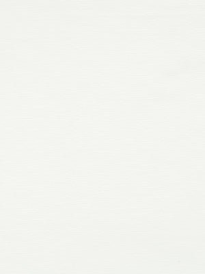 BECKO | PALE CREAM - Multi-purpose