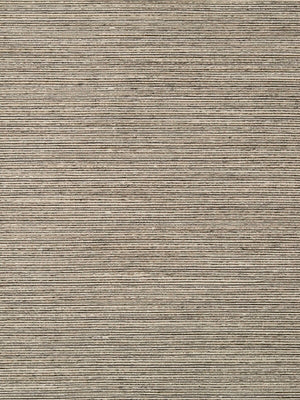 GIZMO | GREYSTONE