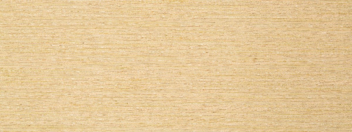 GIZMO | AMBER - Multi-purpose