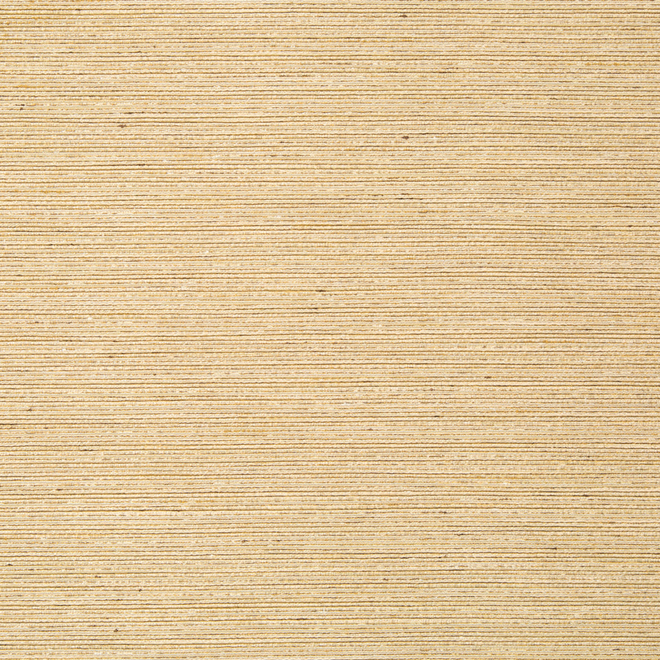 GIZMO | BRASS