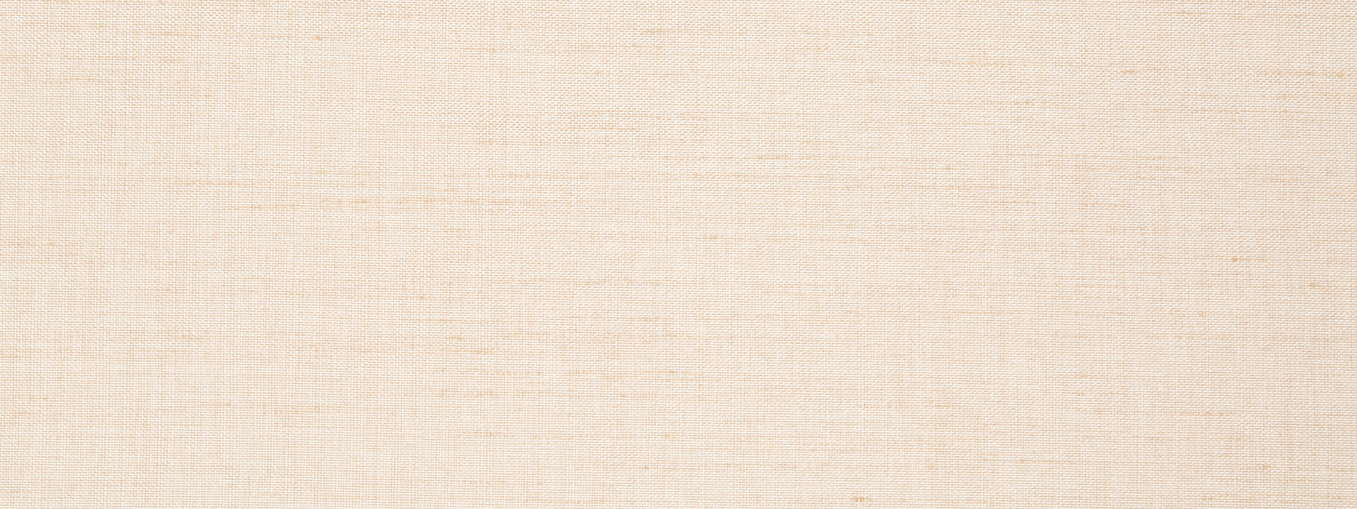 ARISTA | CASHEW