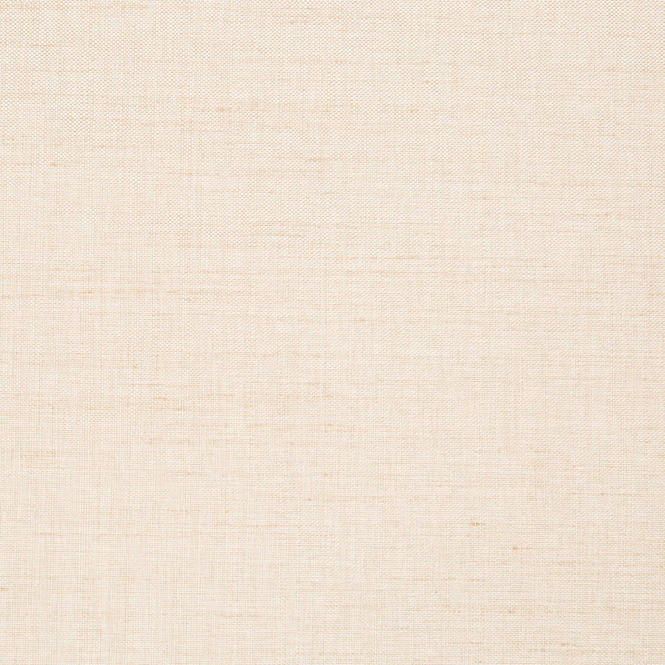 ARISTA | CASHEW