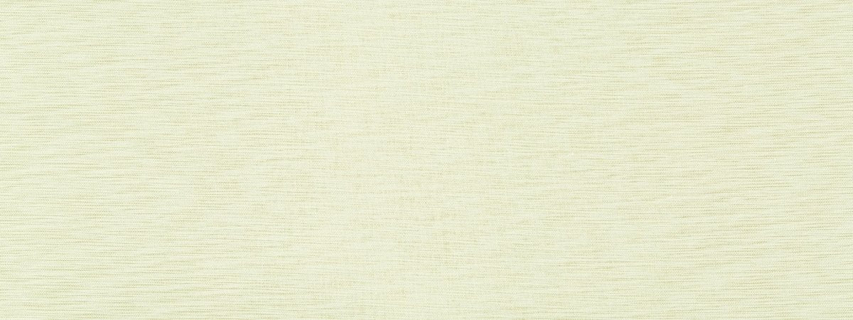 NASHUA | ENDIVE - Multi-purpose