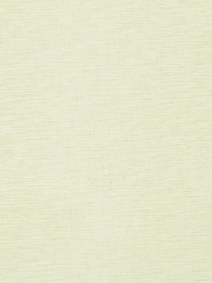NASHUA | ENDIVE - Multi-purpose
