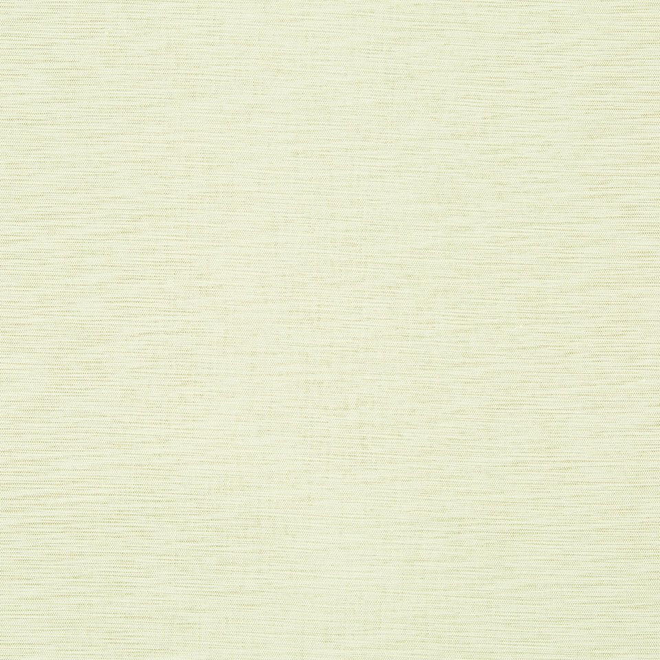 NASHUA | ENDIVE - Multi-purpose