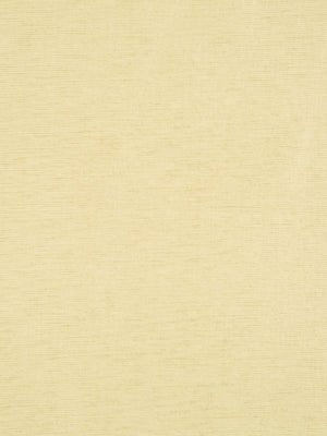 NASHUA | PALE GOLD - Multi-purpose