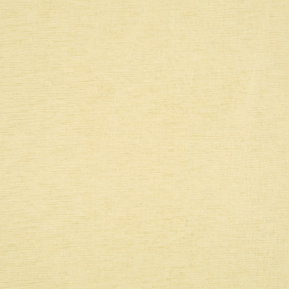 NASHUA | PALE GOLD