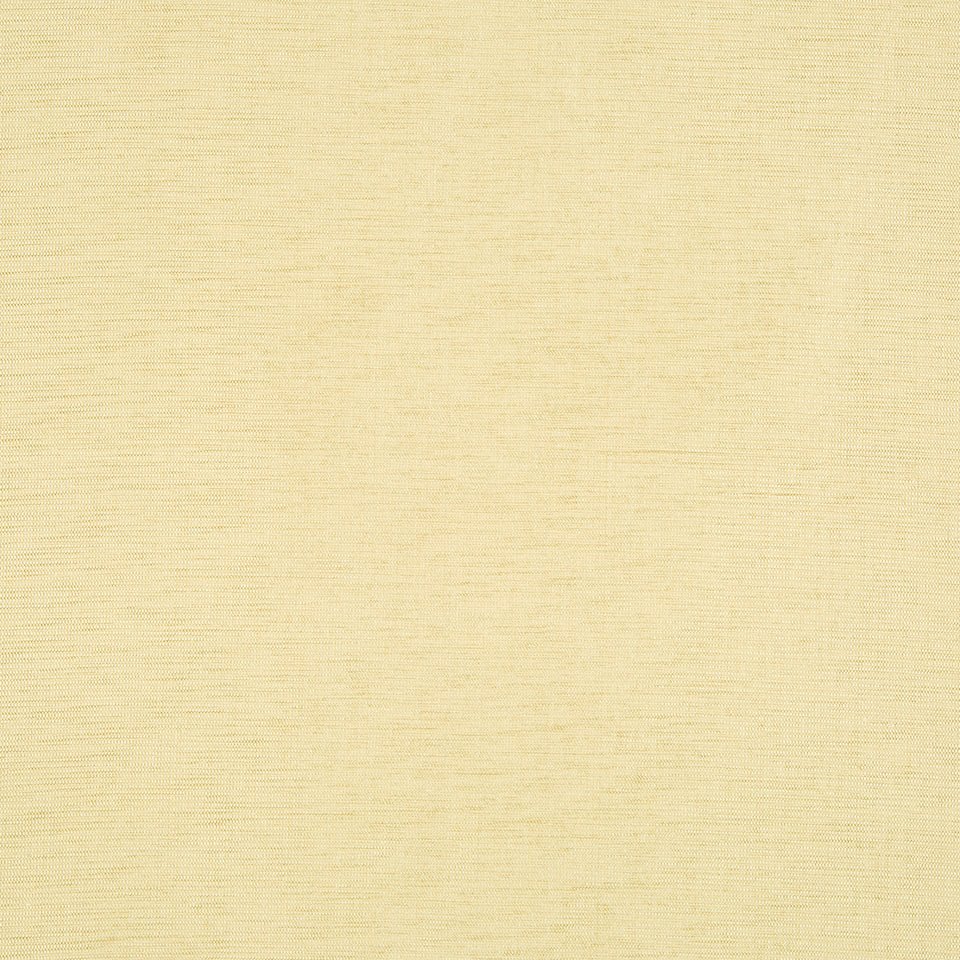 NASHUA | PALE GOLD - Multi-purpose
