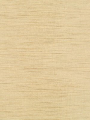 NASHUA | CASHEW - Multi-purpose