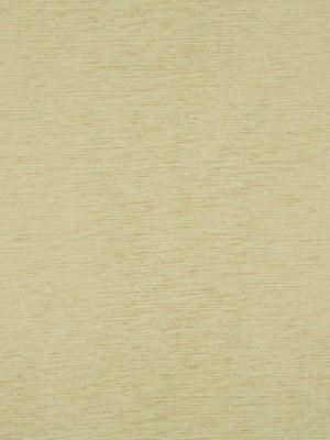 NASHUA | REED - Multi-purpose