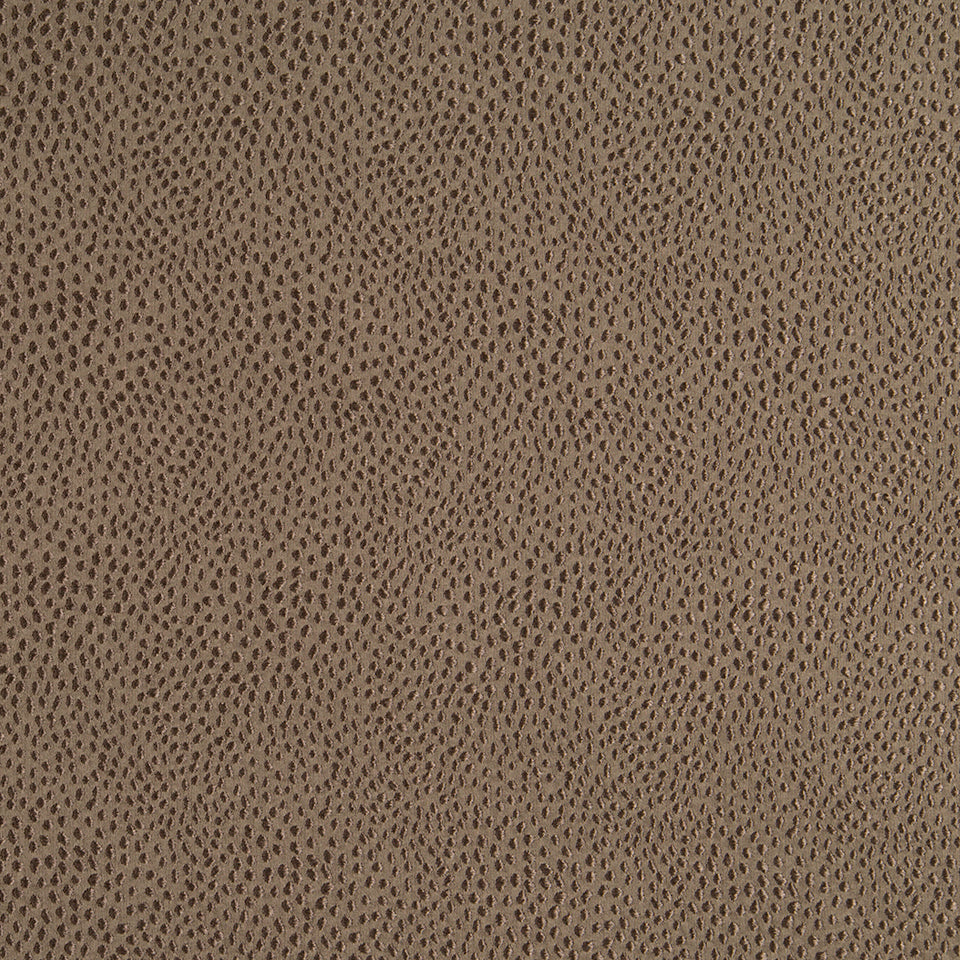 NYOLANI | COFFEE