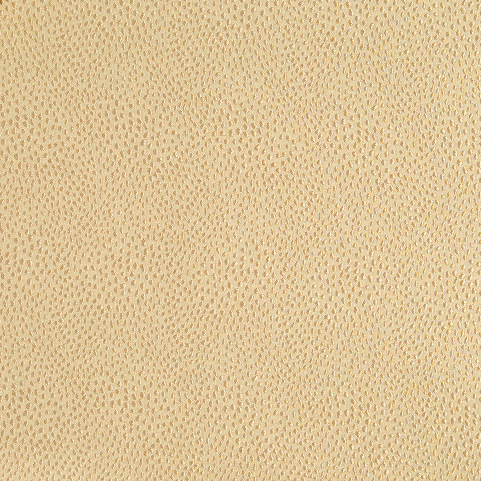 NYOLANI | AMBER