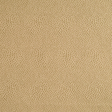 NYOLANI | CARAMEL