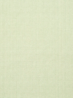 INNER GEO | SPRING GRASS