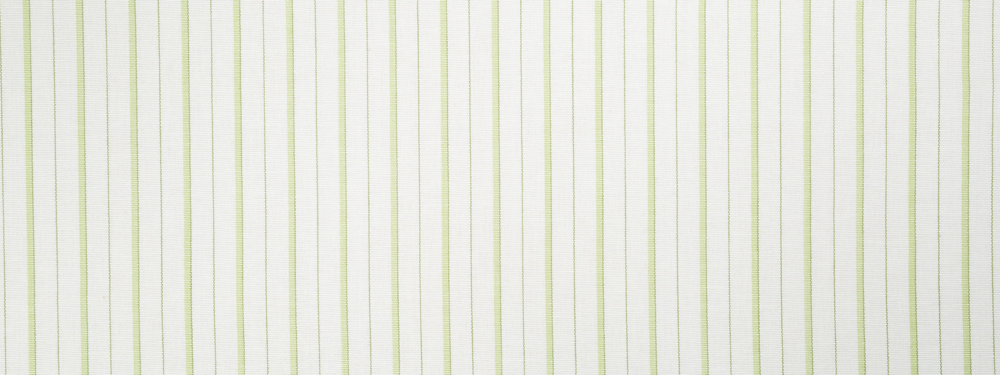SUNNY SLOPE | SPRING GRASS