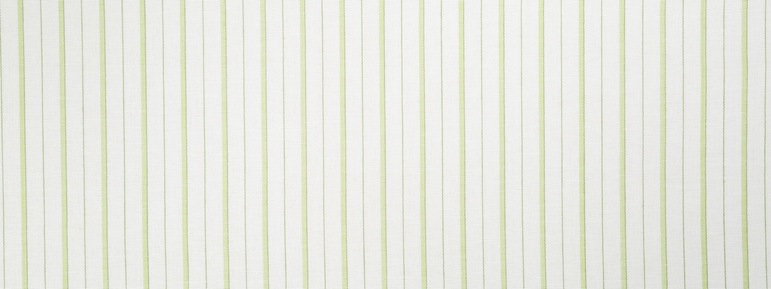SUNNY SLOPE | SPRING GRASS