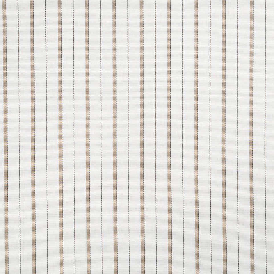 SUNNY SLOPE | DRIFTWOOD