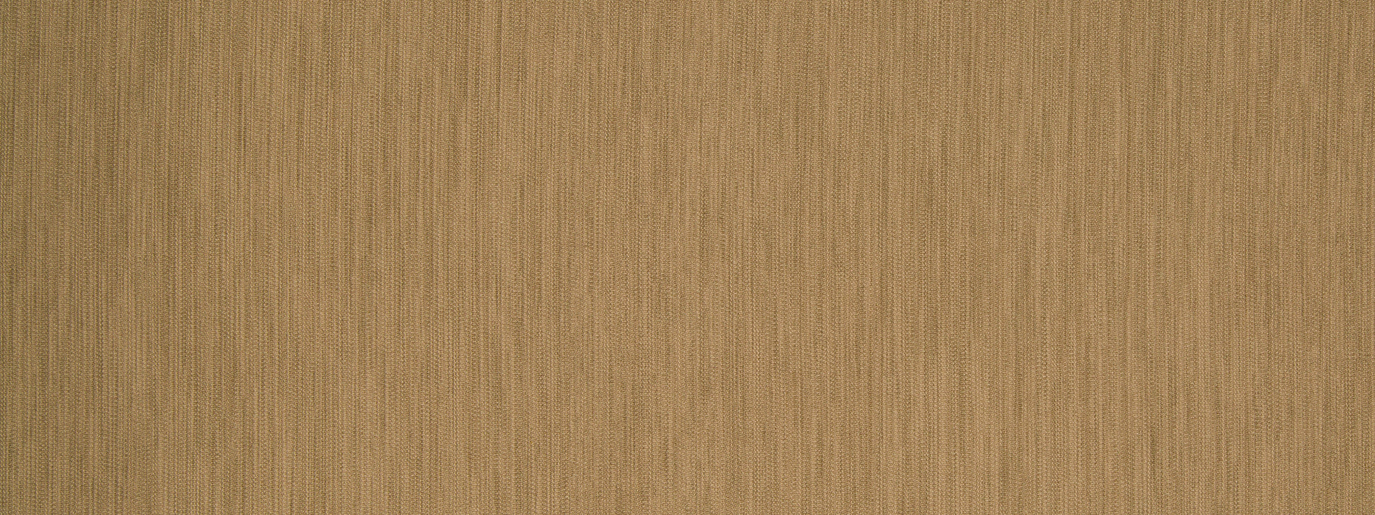 LINEAL LANES | TRUFFLE