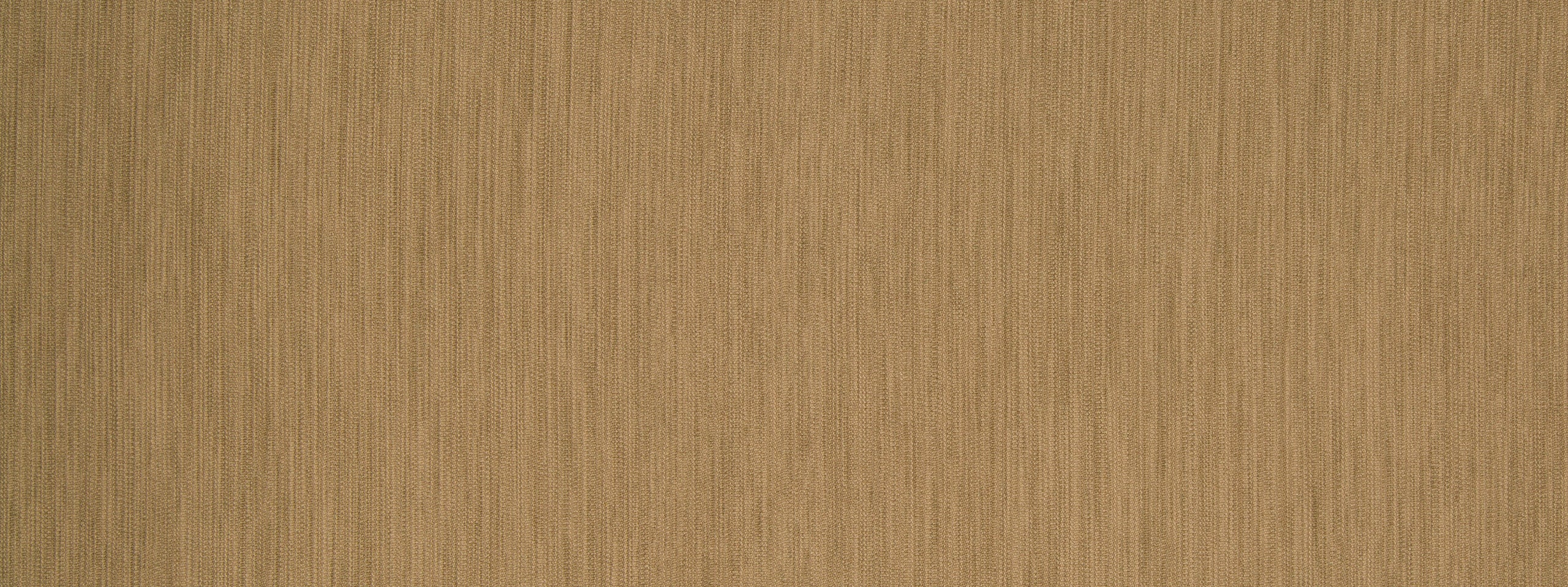 LINEAL LANES | TRUFFLE