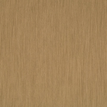 LINEAL LANES | TRUFFLE