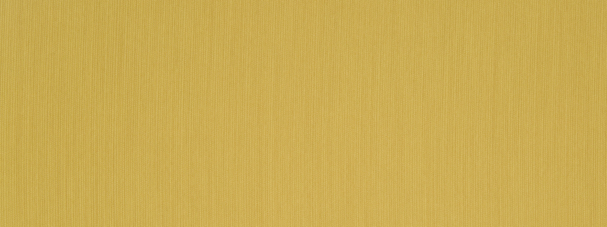 LINEAL LANES | CORNSILK