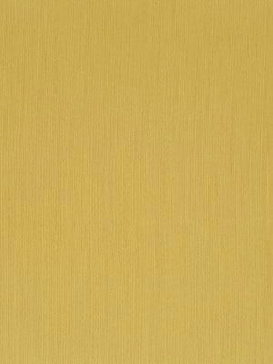 LINEAL LANES | CORNSILK