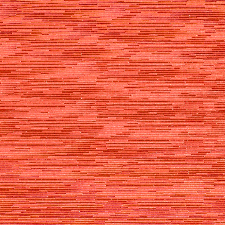 In The Groove | Ember