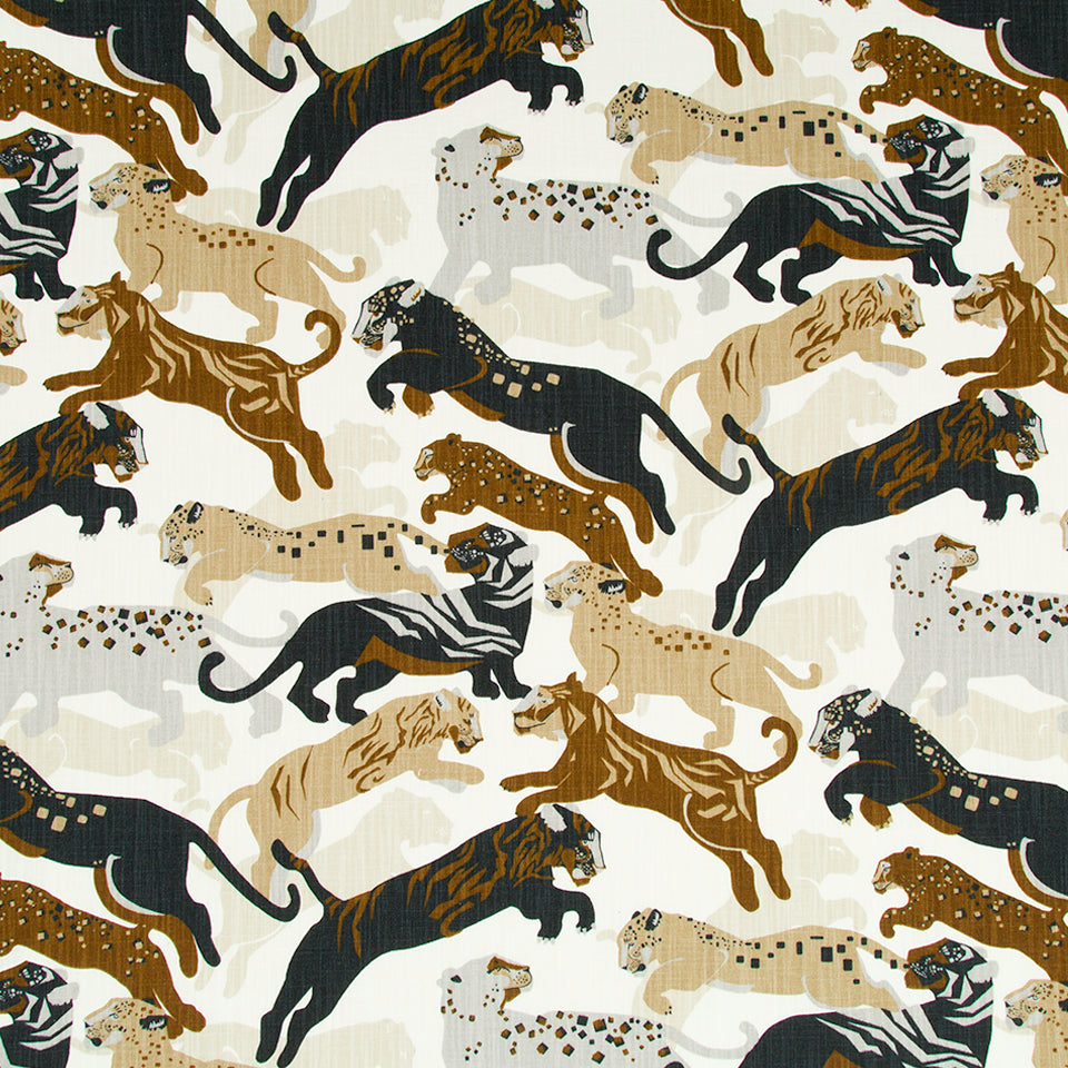RAJITA TIGER | BRONZE