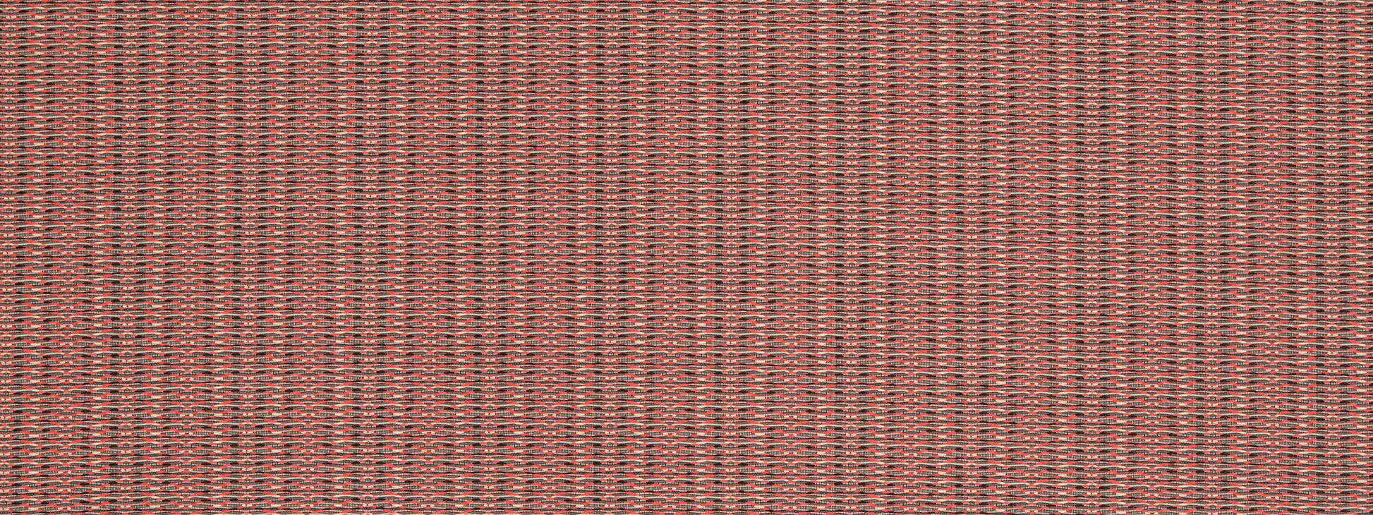 SYNCOPATION | EMBER