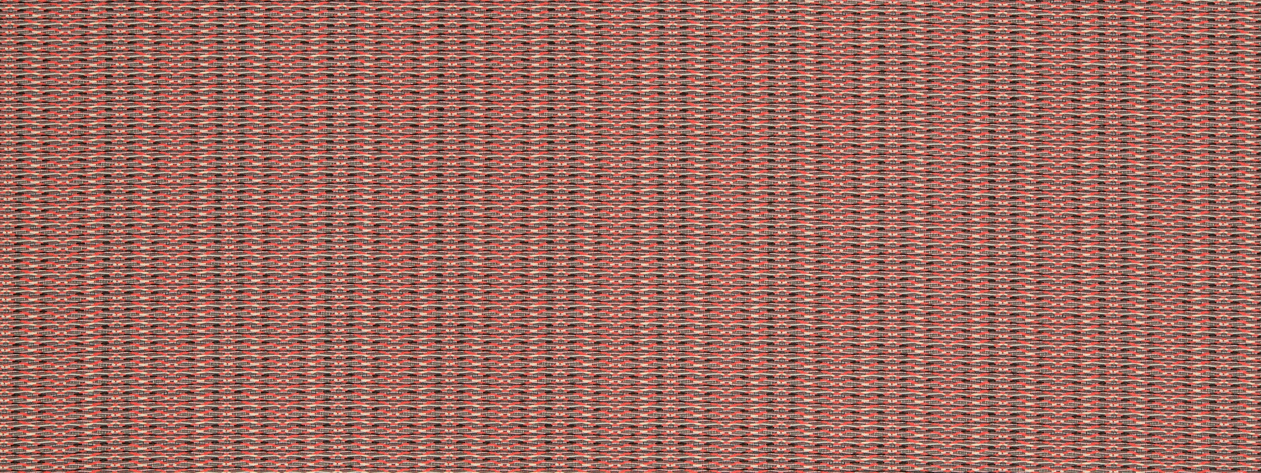 SYNCOPATION | EMBER