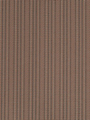 SYNCOPATION | EMBER