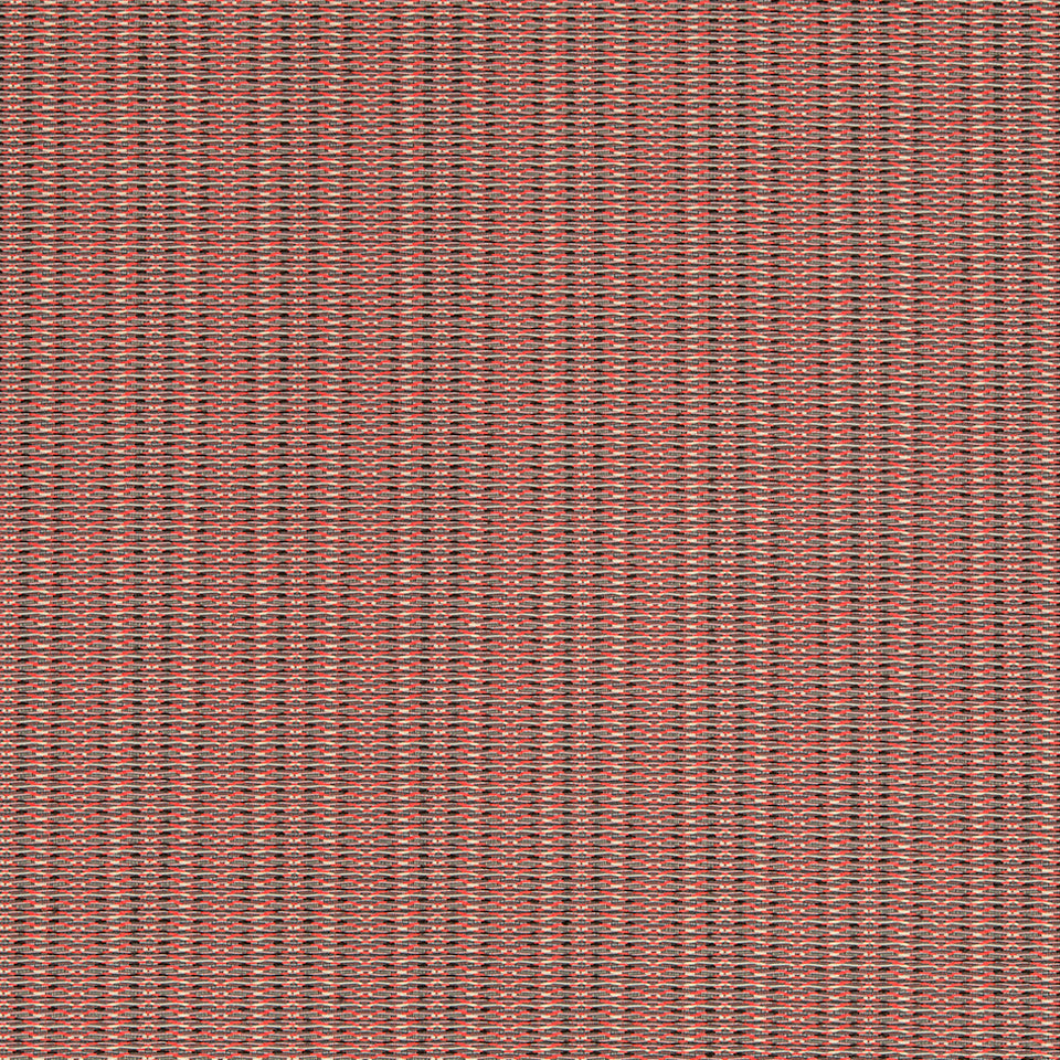 SYNCOPATION | EMBER