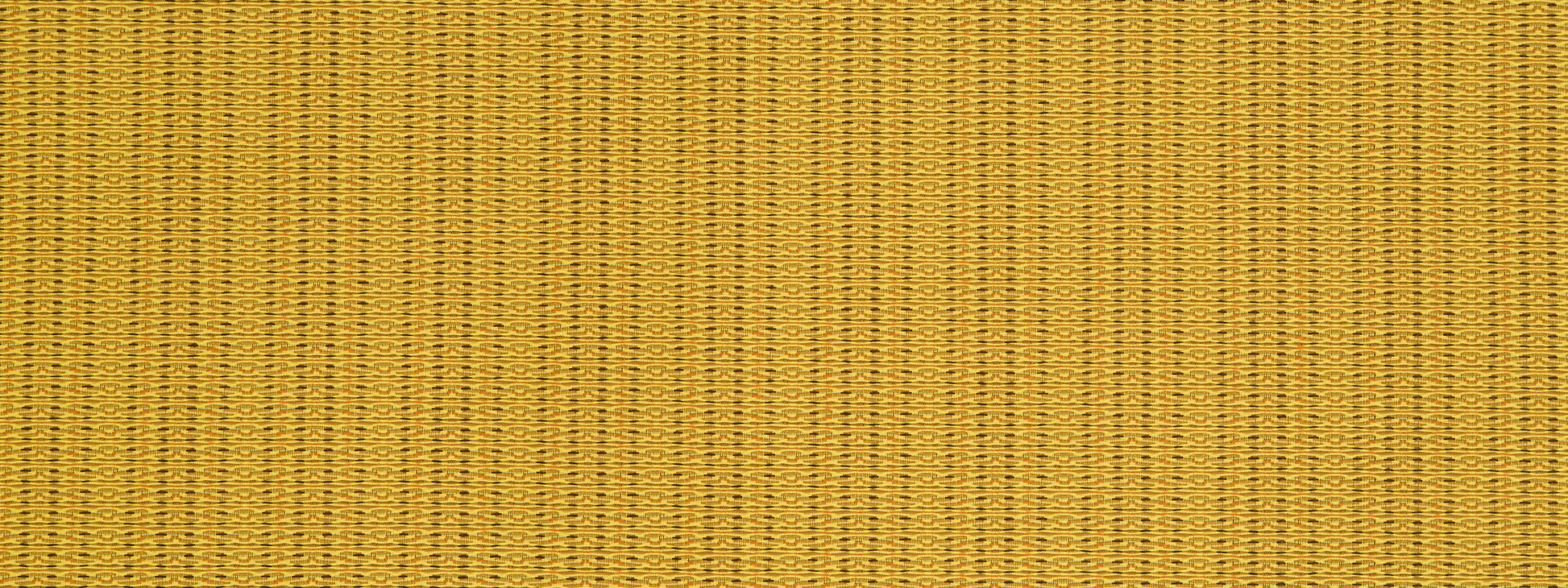 SYNCOPATION | LEMON DROP